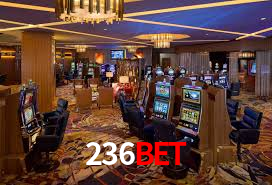 236Bet App